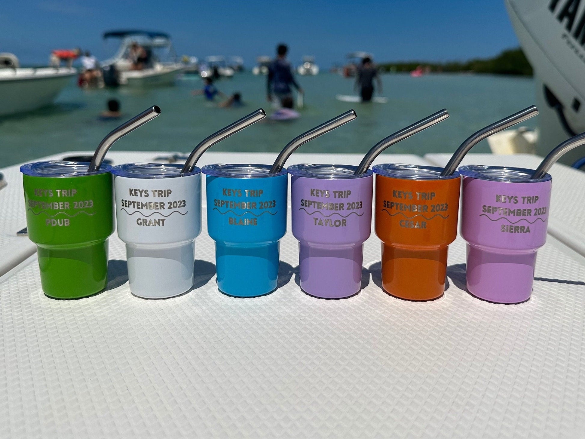 Engraved 2 oz mini tumblers with lids and straws