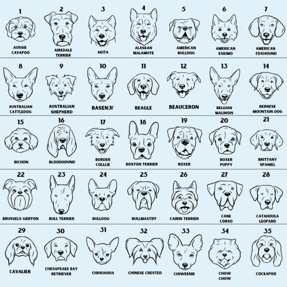 Dog breed chart 1 of 4 — numbered black-and-white breed illustrations