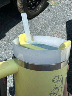 Customer photo from a review by Ann P.