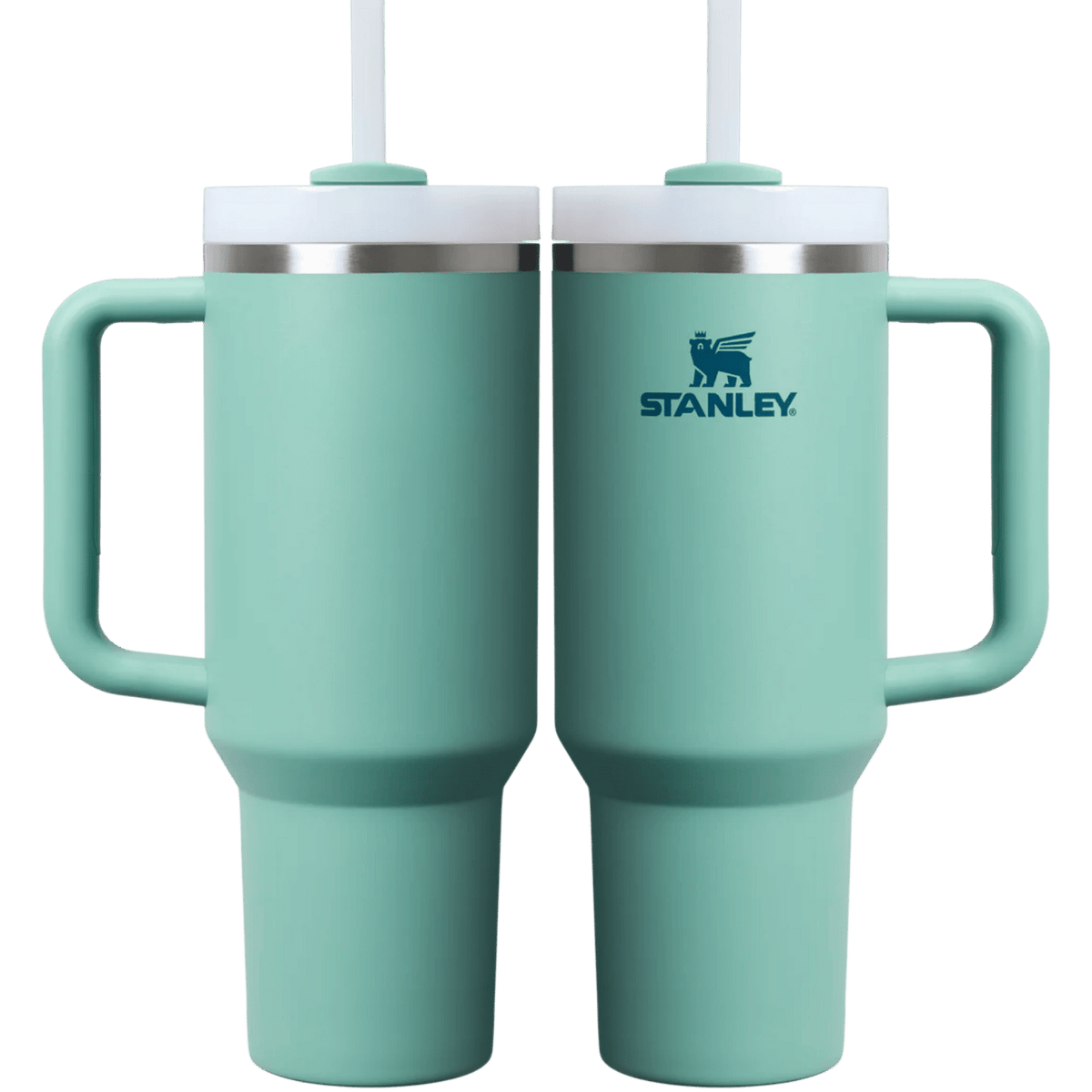 Stanley Quencher 40 oz in Spring Green — front and back